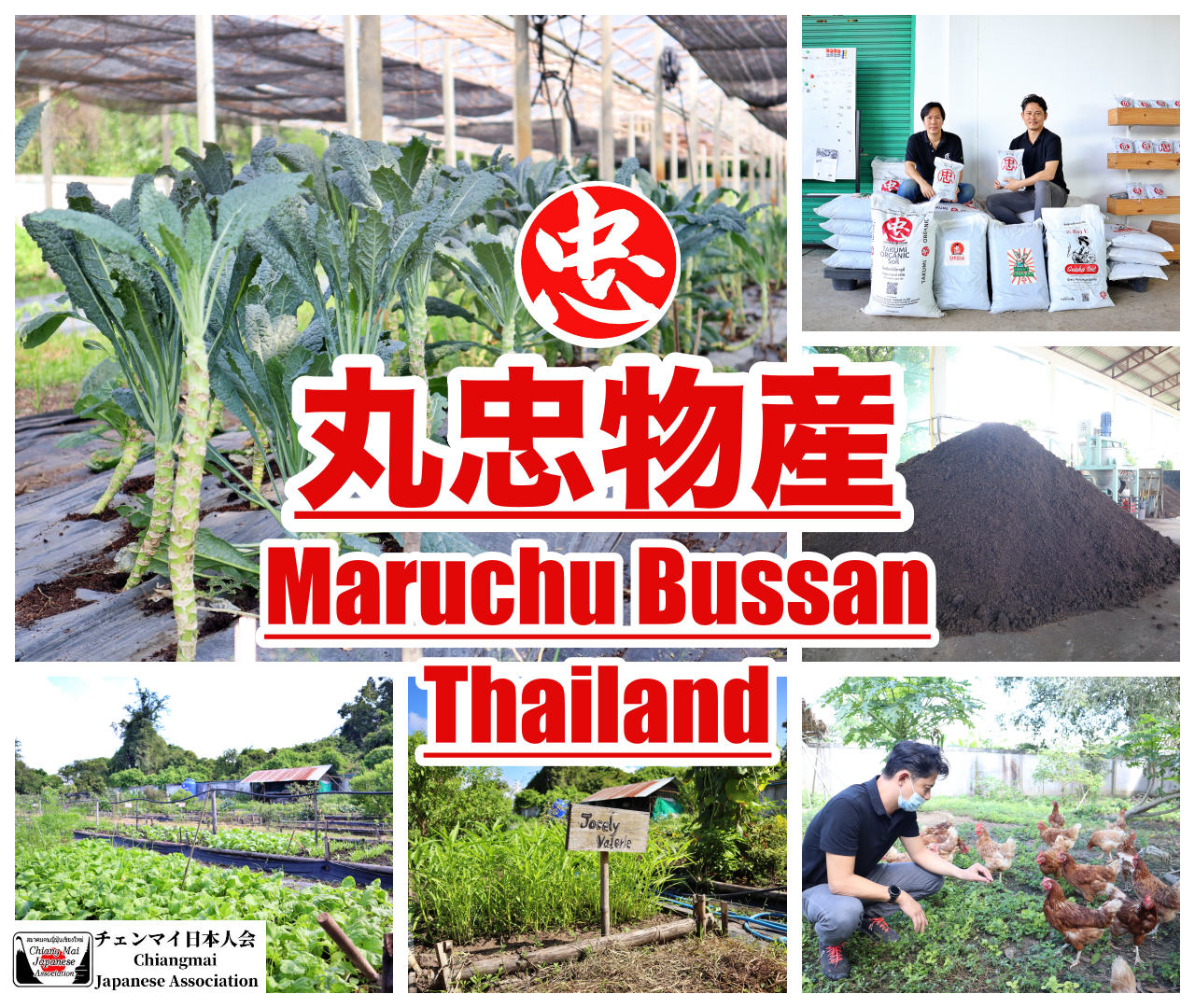 丸忠物産 (Maruchu Bussan Thailand)